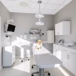 Kleintierpraxis Henriette Bendlin – Tierarzt in Rostock | Tierklinik & Praxis