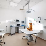 Kleintierpraxis Soonwald Dr. Med. Vet. Anna-Maria Mauer – Tierarzt in Bad Kreuznach | Tierklinik & Praxis