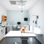 Kopplin-Körner – Tierarzt in Helmstedt | Tierklinik & Praxis