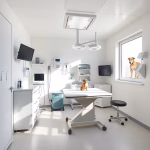Mobile Tierarztpraxis Dr. Thurmann Magdeburg – Tierarzt in Magdeburg | Tierklinik & Praxis